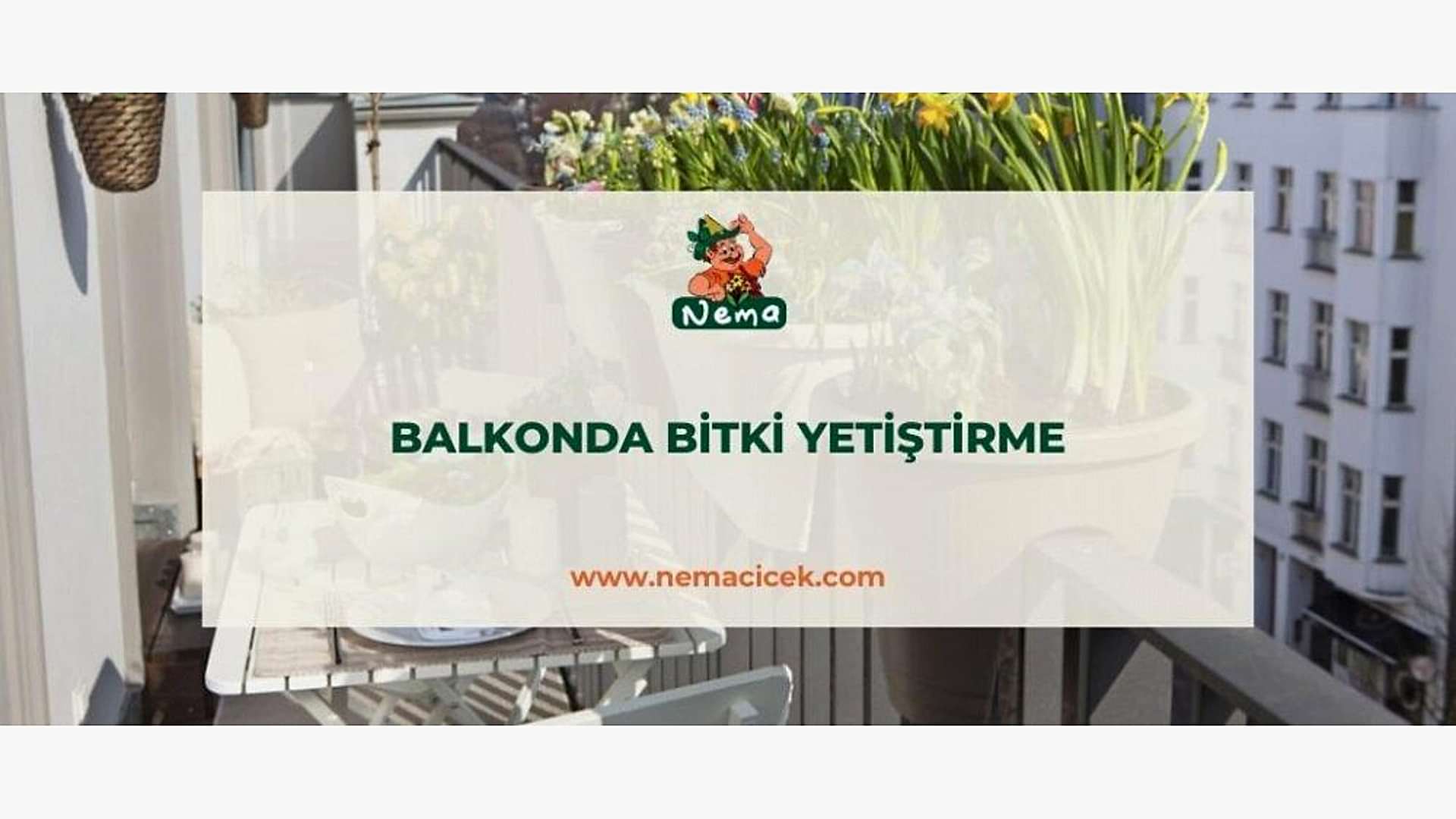 https://tipob9t.wwweees.com/image/cache/catalog/blog-image/balkonda-bitki-yetistirme-nemablog-1-1920x1080.jpg