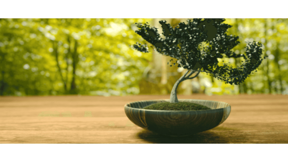 Bonsai Ağacı Anlamı