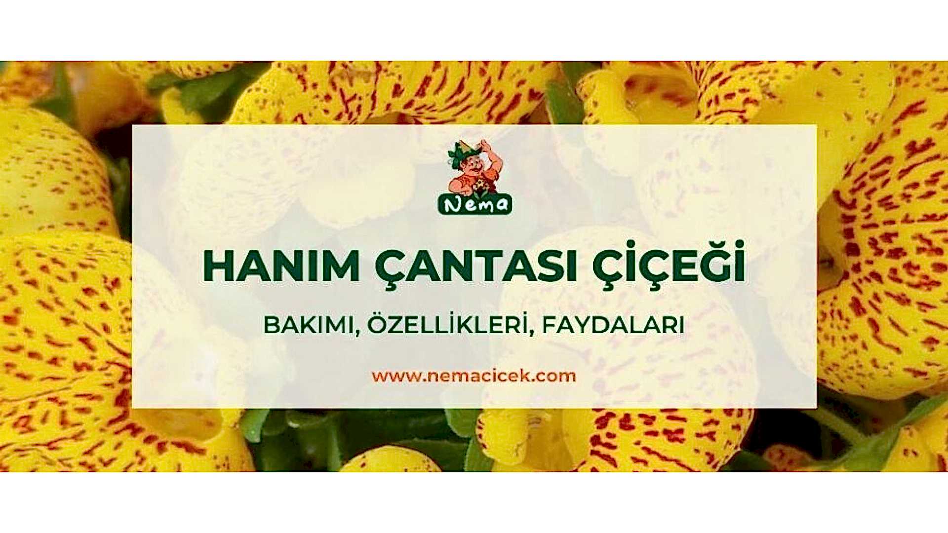 https://tipob9t.wwweees.com/image/cache/catalog/blog-image/hanim-cantasi-cicegi-nemacicek-blog-1920x1080.jpg