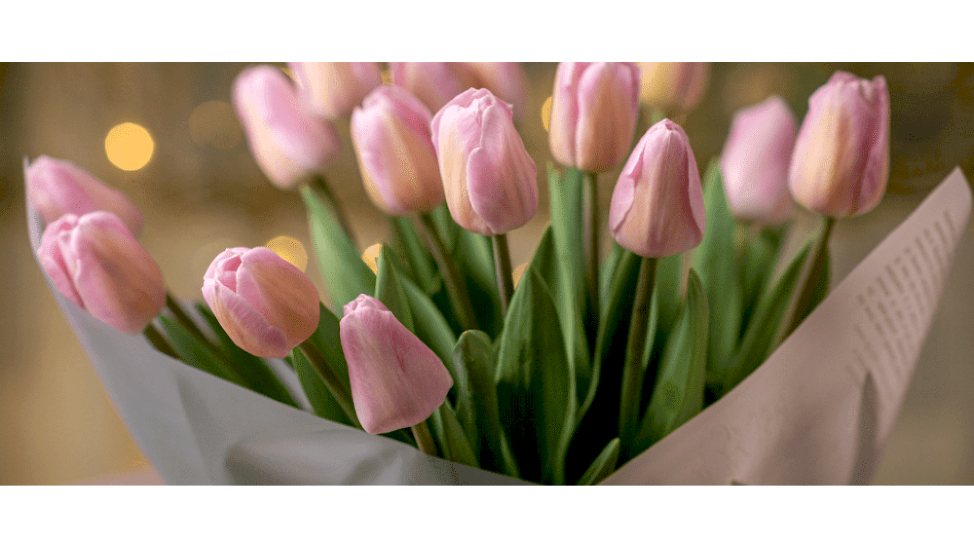 https://tipob9t.wwweees.com/image/cache/catalog/blog-image/lale-cicegi-tipob9t.wwweees.com-6-1920x1080.png