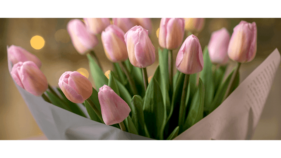 Lale Çiçeği Anlamı - (Tulipa)