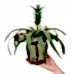 Ananas Amigo