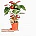 Antoryum - Anthurium Turuncu Nora