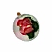 Antoryum - Cam Fanusda Kırmızı Anthurium