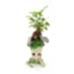 Ficus Ginseng Bonsai - Groot Saksıda