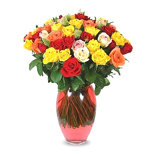 Gül - 50 Karışık Gül Linda