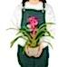 Guzmanya - Pembe Guzmania Mavi Seramik