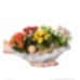 Kalanşo - Kalanchoe Renkli 5li Set