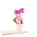 Mini Orkide - Pembe Sweet Lily