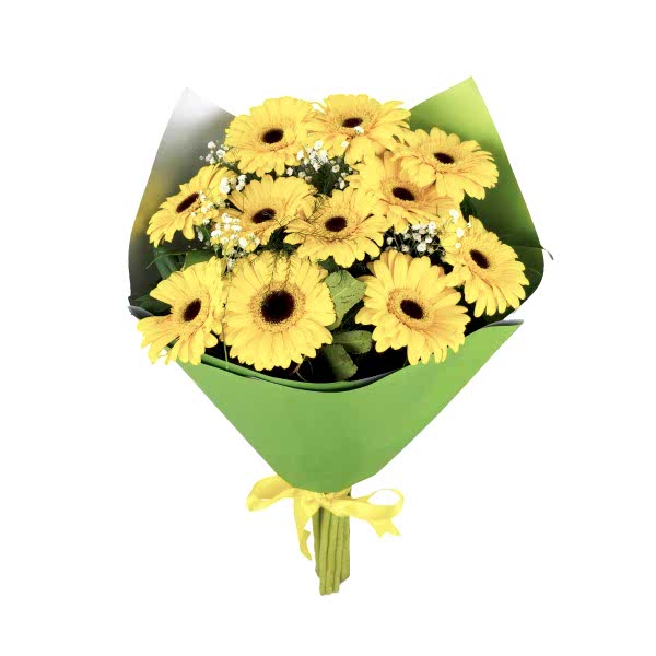Sarı Gerbera - Kanarya